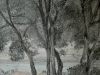 alberi-e-acqua-1960-carboncino-e-matita-a-colori-16x19