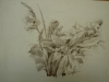 fiori-sd-carboncino-45x33
