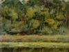 fiume-morto-1957-olio-su-tavola-28x36